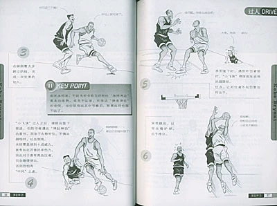 哪里能找到最新的篮球训练和发展策略_2