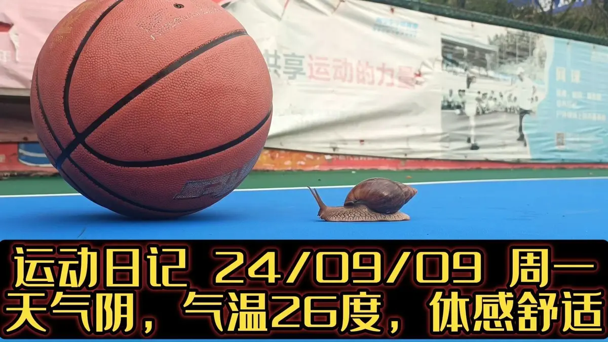 如何为不同水平的球员制定个性化的篮球训练策略_0